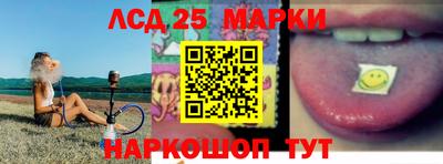 гидропоника Будённовск
