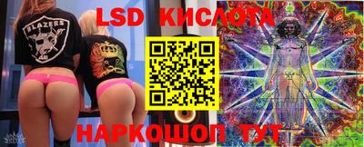 гидропоника Будённовск