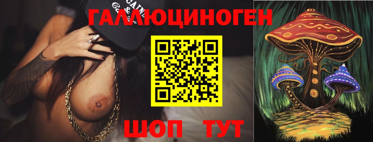 Псилоцибиновые грибы Cubensis Семёнов